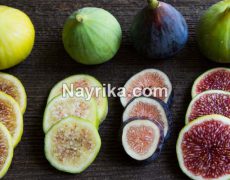 انجیر: خواص، مضرات، طبع، انواع و کاشت انجیر / انجیر برای زخم معده انجیر: خواص، مضرات، طبع، انواع و کاشت انجیر / انجیر برای زخم معده