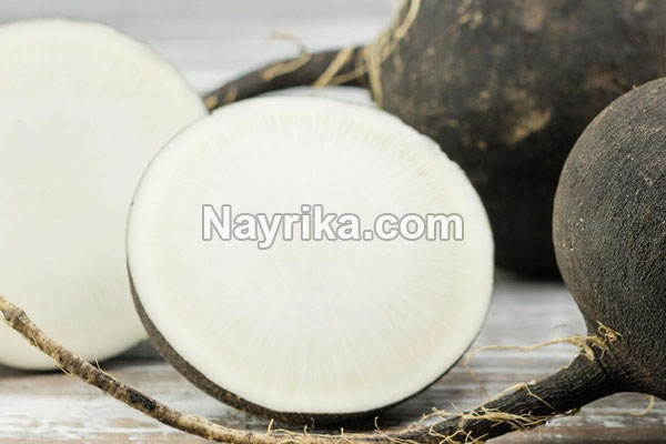 ترب سیاه, خواص ترب سیاه, مضرات ترب سیاه, طبع ترب سیاه, ترب سیاه به انگلیسی ترب سیاه, خواص ترب سیاه, مضرات ترب سیاه, طبع ترب سیاه, ترب سیاه به انگلیسی
