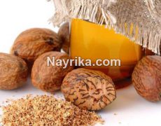 جوز هندی: خواص و مضرات / جوز هندی و لاغری، برای کودکان و در غذاها و مرغ جوز هندی: خواص و مضرات / جوز هندی و لاغری، برای کودکان و در غذاها و مرغ