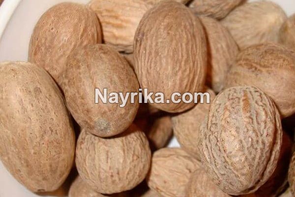جوز هندی, خواص جوز هندی, مضرات جوز هندی, جوز هندی و لاغری, جوز هندی برای کودکان, مصرف جوز هندی در غذاها, جوز هندی در مرغ, کاشت درخت جوز هندی, قیمت جوز هندی, عکس درخت جوز هندی, چگونه جوزهندی را پودر کنیم جوز هندی, خواص جوز هندی, مضرات جوز هندی, جوز هندی و لاغری, جوز هندی برای کودکان, مصرف جوز هندی در غذاها, جوز هندی در مرغ, کاشت درخت جوز هندی, قیمت جوز هندی, عکس درخت جوز هندی, چگونه جوزهندی را پودر کنیم