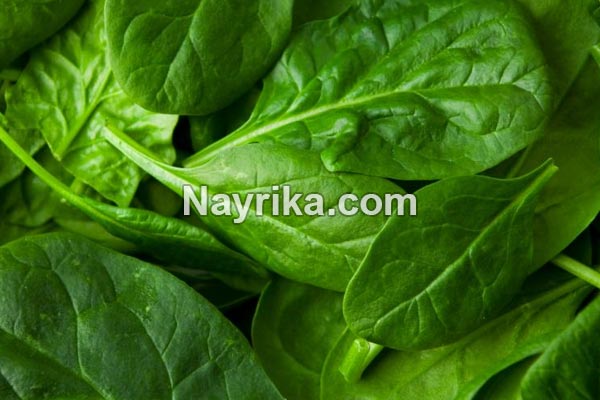 اسفناج, خواص اسفناج, مضرات اسفناج, طبع اسفناج, خواص اسفناج برای مو, اسفناج پخته, جوشانده اسفناج, پختن اسفناج, اسفناج سرده, شکل اسفناج, طبیعت اسفناج اسفناج, خواص اسفناج, مضرات اسفناج, طبع اسفناج, خواص اسفناج برای مو, اسفناج پخته, جوشانده اسفناج, پختن اسفناج, اسفناج سرده, شکل اسفناج, طبیعت اسفناج