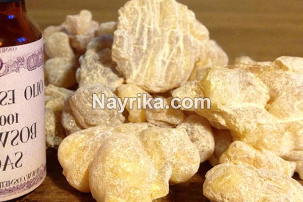 روغن کندر, خواص روغن کندر, مضرات روغن کندر, خاصیت روغن کندر برای مو, چگونه روغن کندر درست کنیم, طریقه مصرف روغن کندر, روغن کندر اصل, قیمت روغن کندر روغن کندر, خواص روغن کندر, مضرات روغن کندر, خاصیت روغن کندر برای مو, چگونه روغن کندر درست کنیم, طریقه مصرف روغن کندر, روغن کندر اصل, قیمت روغن کندر