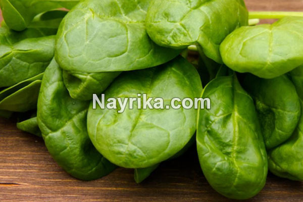 اسفناج, خواص اسفناج, مضرات اسفناج, طبع اسفناج, خواص اسفناج برای مو, اسفناج پخته, جوشانده اسفناج, پختن اسفناج, اسفناج سرده, شکل اسفناج, طبیعت اسفناج اسفناج, خواص اسفناج, مضرات اسفناج, طبع اسفناج, خواص اسفناج برای مو, اسفناج پخته, جوشانده اسفناج, پختن اسفناج, اسفناج سرده, شکل اسفناج, طبیعت اسفناج