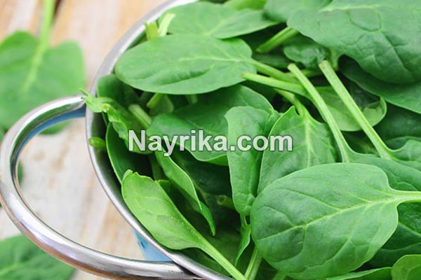 اسفناج, خواص اسفناج, مضرات اسفناج, طبع اسفناج, خواص اسفناج برای مو, اسفناج پخته, جوشانده اسفناج, پختن اسفناج, اسفناج سرده, شکل اسفناج, طبیعت اسفناج اسفناج, خواص اسفناج, مضرات اسفناج, طبع اسفناج, خواص اسفناج برای مو, اسفناج پخته, جوشانده اسفناج, پختن اسفناج, اسفناج سرده, شکل اسفناج, طبیعت اسفناج