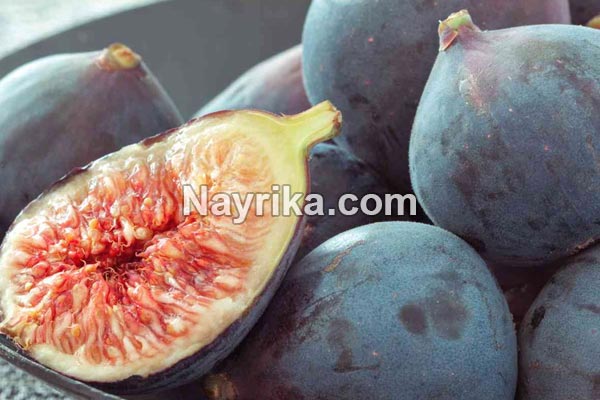 انجیر, خواص انجیر, مضرات انجیر, طبع انجیر, خواص انجیر برای زخم معده, خواص انجیر و زیتون, انواع انجیر, کاشت انجیر, درخت انجیر انجیر, خواص انجیر, مضرات انجیر, طبع انجیر, خواص انجیر برای زخم معده, خواص انجیر و زیتون, انواع انجیر, کاشت انجیر, درخت انجیر