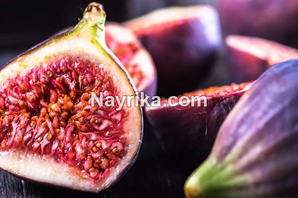 انجیر, خواص انجیر, مضرات انجیر, طبع انجیر, خواص انجیر برای زخم معده, خواص انجیر و زیتون, انواع انجیر, کاشت انجیر, درخت انجیر انجیر, خواص انجیر, مضرات انجیر, طبع انجیر, خواص انجیر برای زخم معده, خواص انجیر و زیتون, انواع انجیر, کاشت انجیر, درخت انجیر