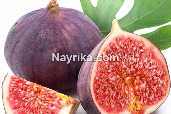 انجیر, خواص انجیر, مضرات انجیر, طبع انجیر, خواص انجیر برای زخم معده, خواص انجیر و زیتون, انواع انجیر, کاشت انجیر, درخت انجیر انجیر, خواص انجیر, مضرات انجیر, طبع انجیر, خواص انجیر برای زخم معده, خواص انجیر و زیتون, انواع انجیر, کاشت انجیر, درخت انجیر