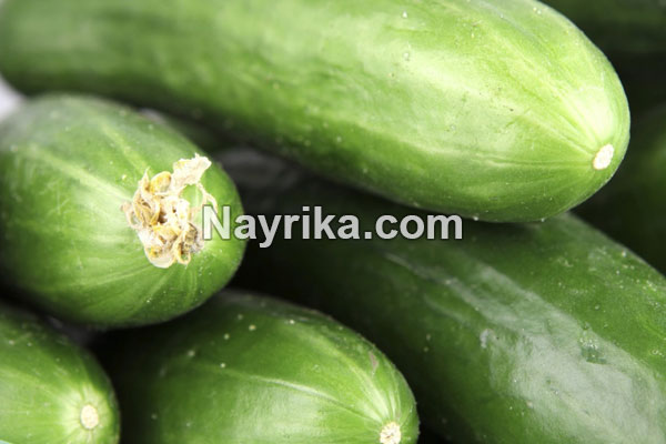 خیار, خواص خیار, مضرات خیار, طبع خیار, خواص خیار برای پوست, خواص خیار برای مو, خواص خیار برای جوش, خواص خیار برای کودکان, خواص خیار برای لاغری, خواص آب خیار, آب خیار برای کبد خیار, خواص خیار, مضرات خیار, طبع خیار, خواص خیار برای پوست, خواص خیار برای مو, خواص خیار برای جوش, خواص خیار برای کودکان, خواص خیار برای لاغری, خواص آب خیار, آب خیار برای کبد