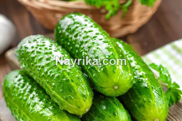 خیار, خواص خیار, مضرات خیار, طبع خیار, خواص خیار برای پوست, خواص خیار برای مو, خواص خیار برای جوش, خواص خیار برای کودکان, خواص خیار برای لاغری, خواص آب خیار, آب خیار برای کبد خیار, خواص خیار, مضرات خیار, طبع خیار, خواص خیار برای پوست, خواص خیار برای مو, خواص خیار برای جوش, خواص خیار برای کودکان, خواص خیار برای لاغری, خواص آب خیار, آب خیار برای کبد