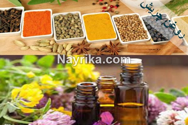 روغن چریش, خواص روغن چریش, مضرات روغن چریش, قیمت روغن چریش, روغن چریش در بارداری روغن چریش, خواص روغن چریش, مضرات روغن چریش, قیمت روغن چریش