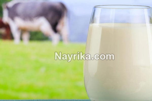 شیر, خواص شیر, مضرات شیر, خواص شیر گرم, خواص شیر برای قلب, خواص شیر برای مو, خواص شیر برای لاغری, فواید شیر برای بزرگسالان, فواید شیر در شب, فواید شیر پاستوریزه, خواص شیر گاو برای لاغری شیر, خواص شیر, مضرات شیر, خواص شیر گرم, خواص شیر برای قلب, خواص شیر برای مو, خواص شیر برای لاغری, فواید شیر برای بزرگسالان, فواید شیر در شب, فواید شیر پاستوریزه, خواص شیر گاو برای لاغری