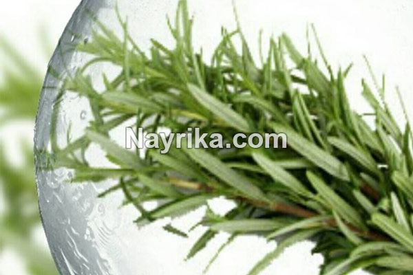 عرق آویشن, خواص عرق آویشن, مضرات عرق آویشن, عرق آویشن گرم یا سرد, طریقه مصرف عرق آویشن, عرق آویشن و فشار خون, عرق آویشن در بارداری, رنگ عرق اویشن, قیمت عرق آویشن, عرق آویشن حکیم تهرانی عرق آویشن, خواص عرق آویشن, مضرات عرق آویشن, عرق آویشن گرم یا سرد, طریقه مصرف عرق آویشن, عرق آویشن و فشار خون, عرق آویشن در بارداری, رنگ عرق اویشن, قیمت عرق آویشن, عرق آویشن حکیم تهرانی