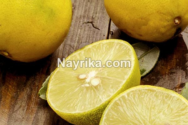 لیمو شیرین, خواص لیمو شیرین, مضرات لیمو شیرین, خواص لیمو شیرین برای کبد, لیمو شیرین و فشار خون, خواص لیمو شیرین برای کودکان, خواص لیمو شیرین برای سرماخوردگی, لیمو شیرین و لاغری, خواص لیمو شیرین در طب سنتی لیمو شیرین, خواص لیمو شیرین, مضرات لیمو شیرین, خواص لیمو شیرین برای کبد, لیمو شیرین و فشار خون, خواص لیمو شیرین برای کودکان, خواص لیمو شیرین برای سرماخوردگی, لیمو شیرین و لاغری, خواص لیمو شیرین در طب سنتی