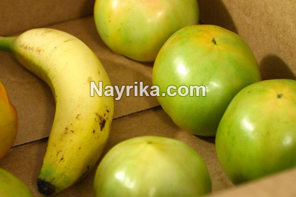گوجه سبز, خواص گوجه سبز, مضرات گوجه سبز, خواص گوجه سبز برای کبد, خواص گوجه سبز برای دیابت, گوجه سبز در بارداری, فصل گوجه سبز, درخت گوجه سبز, گوجه سبز با نمک, عکس گوجه سبز گوجه سبز, خواص گوجه سبز, مضرات گوجه سبز, خواص گوجه سبز برای کبد, خواص گوجه سبز برای دیابت, گوجه سبز در بارداری, فصل گوجه سبز, درخت گوجه سبز, گوجه سبز با نمک, عکس گوجه سبز