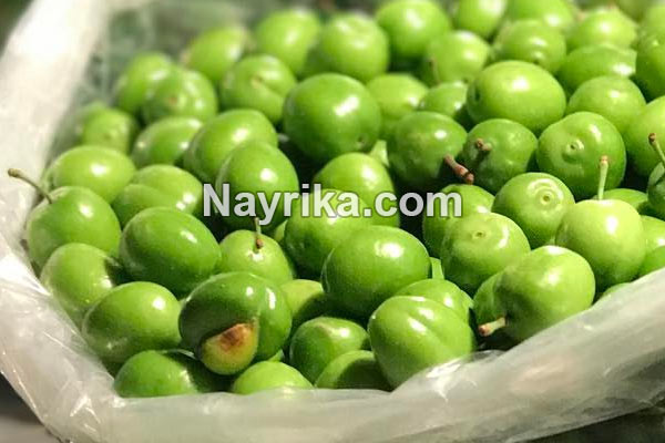 گوجه سبز, خواص گوجه سبز, مضرات گوجه سبز, خواص گوجه سبز برای کبد, خواص گوجه سبز برای دیابت, گوجه سبز در بارداری, فصل گوجه سبز, درخت گوجه سبز, گوجه سبز با نمک, عکس گوجه سبز گوجه سبز, خواص گوجه سبز, مضرات گوجه سبز, خواص گوجه سبز برای کبد, خواص گوجه سبز برای دیابت, گوجه سبز در بارداری, فصل گوجه سبز, درخت گوجه سبز, گوجه سبز با نمک, عکس گوجه سبز