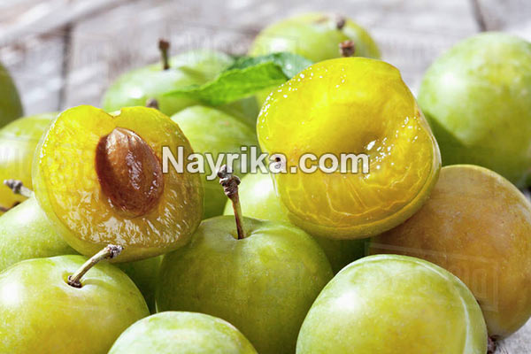 گوجه سبز, خواص گوجه سبز, مضرات گوجه سبز, خواص گوجه سبز برای کبد, خواص گوجه سبز برای دیابت, گوجه سبز در بارداری, فصل گوجه سبز, درخت گوجه سبز, گوجه سبز با نمک, عکس گوجه سبز گوجه سبز, خواص گوجه سبز, مضرات گوجه سبز, خواص گوجه سبز برای کبد, خواص گوجه سبز برای دیابت, گوجه سبز در بارداری, فصل گوجه سبز, درخت گوجه سبز, گوجه سبز با نمک, عکس گوجه سبز