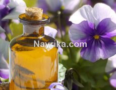 روغن بنفشه: خواص و مضرات / روغن بنفشه برای لک صورت، چروک، جوش و مو روغن بنفشه: خواص و مضرات / روغن بنفشه برای لک صورت، چروک، جوش و مو