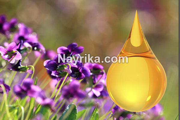 روغن بنفشه, خواص روغن بنفشه, مضرات روغن بنفشه, روغن بنفشه برای لک صورت, روغن بنفشه برای چروک صورت, روغن بنفشه برای جوش صورت, قیمت روغن بنفشه برای مو, خواص روغن بنفشه برای سرماخوردگی, خواص روغن بنفشه برای آلرژی, خواص روغن بنفشه برای گوش, روغن بنفشه برای نوزادان روغن بنفشه, خواص روغن بنفشه, مضرات روغن بنفشه, روغن بنفشه برای لک صورت, روغن بنفشه برای چروک صورت, روغن بنفشه برای جوش صورت, قیمت روغن بنفشه برای مو, خواص روغن بنفشه برای سرماخوردگی, خواص روغن بنفشه برای آلرژی, خواص روغن بنفشه برای گوش, روغن بنفشه برای نوزادان