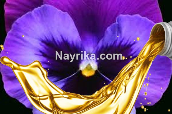 روغن بنفشه, خواص روغن بنفشه, مضرات روغن بنفشه, روغن بنفشه برای لک صورت, روغن بنفشه برای چروک صورت, روغن بنفشه برای جوش صورت, قیمت روغن بنفشه برای مو, خواص روغن بنفشه برای سرماخوردگی, خواص روغن بنفشه برای آلرژی, خواص روغن بنفشه برای گوش, روغن بنفشه برای نوزادان روغن بنفشه, خواص روغن بنفشه, مضرات روغن بنفشه, روغن بنفشه برای لک صورت, روغن بنفشه برای چروک صورت, روغن بنفشه برای جوش صورت, قیمت روغن بنفشه برای مو, خواص روغن بنفشه برای سرماخوردگی, خواص روغن بنفشه برای آلرژی, خواص روغن بنفشه برای گوش, روغن بنفشه برای نوزادان