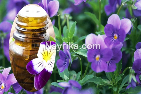 روغن بنفشه, خواص روغن بنفشه, مضرات روغن بنفشه, روغن بنفشه برای لک صورت, روغن بنفشه برای چروک صورت, روغن بنفشه برای جوش صورت, قیمت روغن بنفشه برای مو, خواص روغن بنفشه برای سرماخوردگی, خواص روغن بنفشه برای آلرژی, خواص روغن بنفشه برای گوش, روغن بنفشه برای نوزادان روغن بنفشه, خواص روغن بنفشه, مضرات روغن بنفشه, روغن بنفشه برای لک صورت, روغن بنفشه برای چروک صورت, روغن بنفشه برای جوش صورت, قیمت روغن بنفشه برای مو, خواص روغن بنفشه برای سرماخوردگی, خواص روغن بنفشه برای آلرژی, خواص روغن بنفشه برای گوش, روغن بنفشه برای نوزادان