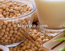 سویا آجیلی: خواص، مضرات و طبع آجیل سویا برای کودکان، بدنسازی و بارداری سویا آجیلی: خواص، مضرات و طبع آجیل سویا برای کودکان، بدنسازی و بارداری