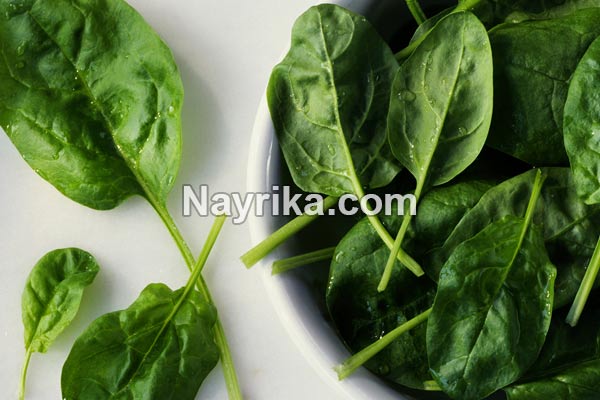 اسفناج, خواص اسفناج, مضرات اسفناج, طبع اسفناج, خواص اسفناج برای مو, اسفناج پخته, جوشانده اسفناج, پختن اسفناج, اسفناج سرده, شکل اسفناج, طبیعت اسفناج اسفناج, خواص اسفناج, مضرات اسفناج, طبع اسفناج, خواص اسفناج برای مو, اسفناج پخته, جوشانده اسفناج, پختن اسفناج, اسفناج سرده, شکل اسفناج, طبیعت اسفناج