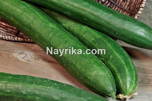 خیار, خواص خیار, مضرات خیار, طبع خیار, خواص خیار برای پوست, خواص خیار برای مو, خواص خیار برای جوش, خواص خیار برای کودکان, خواص خیار برای لاغری, خواص آب خیار, آب خیار برای کبد خیار, خواص خیار, مضرات خیار, طبع خیار, خواص خیار برای پوست, خواص خیار برای مو, خواص خیار برای جوش, خواص خیار برای کودکان, خواص خیار برای لاغری, خواص آب خیار, آب خیار برای کبد