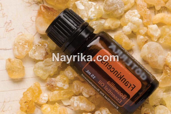 روغن کندر, خواص روغن کندر, مضرات روغن کندر, خاصیت روغن کندر برای مو, چگونه روغن کندر درست کنیم, طریقه مصرف روغن کندر, روغن کندر اصل, قیمت روغن کندر روغن کندر, خواص روغن کندر, مضرات روغن کندر, خاصیت روغن کندر برای مو, چگونه روغن کندر درست کنیم, طریقه مصرف روغن کندر, روغن کندر اصل, قیمت روغن کندر