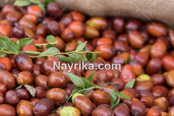عناب, خواص عناب, مضرات عناب, طبع عناب, خواص عناب برای لاغری, خواص عناب خشک, درخت عناب, فصل عناب تازه, فرق سنجد و عناب, عناب به انگلیسی عناب, خواص عناب, مضرات عناب, طبع عناب, خواص عناب برای لاغری, خواص عناب خشک, درخت عناب, فصل عناب تازه, فرق سنجد و عناب, عناب به انگلیسی
