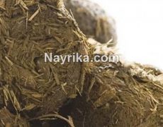 عنبر نسا: خواص و مضرات / خواص عنبر نسارا برای ریه، عفونت زنان و پریودی عنبر نسا: خواص و مضرات / خواص عنبر نسارا برای ریه، عفونت زنان و پریودی