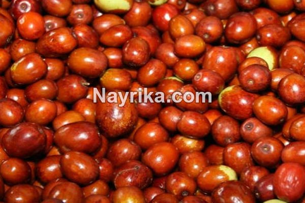عناب, خواص عناب, مضرات عناب, طبع عناب, خواص عناب برای لاغری, خواص عناب خشک, درخت عناب, فصل عناب تازه, فرق سنجد و عناب, عناب به انگلیسی عناب, خواص عناب, مضرات عناب, طبع عناب, خواص عناب برای لاغری, خواص عناب خشک, درخت عناب, فصل عناب تازه, فرق سنجد و عناب, عناب به انگلیسی