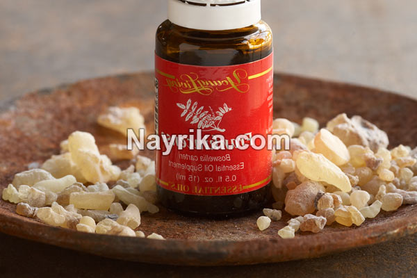 روغن کندر, خواص روغن کندر, مضرات روغن کندر, خاصیت روغن کندر برای مو, چگونه روغن کندر درست کنیم, طریقه مصرف روغن کندر, روغن کندر اصل, قیمت روغن کندر روغن کندر, خواص روغن کندر, مضرات روغن کندر, خاصیت روغن کندر برای مو, چگونه روغن کندر درست کنیم, طریقه مصرف روغن کندر, روغن کندر اصل, قیمت روغن کندر