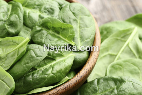 اسفناج, خواص اسفناج, مضرات اسفناج, طبع اسفناج, خواص اسفناج برای مو, اسفناج پخته, جوشانده اسفناج, پختن اسفناج, اسفناج سرده, شکل اسفناج, طبیعت اسفناج اسفناج, خواص اسفناج, مضرات اسفناج, طبع اسفناج, خواص اسفناج برای مو, اسفناج پخته, جوشانده اسفناج, پختن اسفناج, اسفناج سرده, شکل اسفناج, طبیعت اسفناج