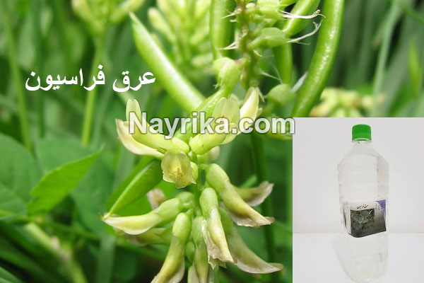 عرق فراسیون, خواص عرق فراسیون, مضرات عرق فراسیون, قیمت عرق فراسیون, معجزه فراسیون