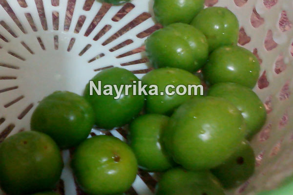 گوجه سبز, خواص گوجه سبز, مضرات گوجه سبز, خواص گوجه سبز برای کبد, خواص گوجه سبز برای دیابت, گوجه سبز در بارداری, فصل گوجه سبز, درخت گوجه سبز, گوجه سبز با نمک, عکس گوجه سبز گوجه سبز, خواص گوجه سبز, مضرات گوجه سبز, خواص گوجه سبز برای کبد, خواص گوجه سبز برای دیابت, گوجه سبز در بارداری, فصل گوجه سبز, درخت گوجه سبز, گوجه سبز با نمک, عکس گوجه سبز