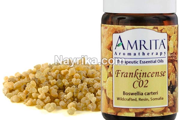 روغن کندر, خواص روغن کندر, مضرات روغن کندر, خاصیت روغن کندر برای مو, چگونه روغن کندر درست کنیم, طریقه مصرف روغن کندر, روغن کندر اصل, قیمت روغن کندر روغن کندر, خواص روغن کندر, مضرات روغن کندر, خاصیت روغن کندر برای مو, چگونه روغن کندر درست کنیم, طریقه مصرف روغن کندر, روغن کندر اصل, قیمت روغن کندر