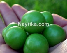 گوجه سبز: خواص و مضرات / خواص گوجه سبز برای کبد، دیابت و در بارداری گوجه سبز: خواص و مضرات / خواص گوجه سبز برای کبد، دیابت و در بارداری
