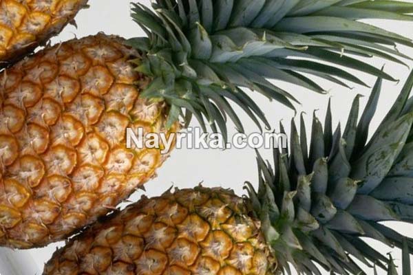 آناناس, آناناس خواص, مضرات آناناس, طبع آناناس, آناناس و دیابت, خواص آناناس برای کودکان, کمپوت آناناس برای یبوست, فصل آناناس, فواید آناناس برای بدن آناناس, آناناس خواص, مضرات آناناس, طبع آناناس, آناناس و دیابت, خواص آناناس برای کودکان, کمپوت آناناس برای یبوست, فصل آناناس, فواید آناناس برای بدن