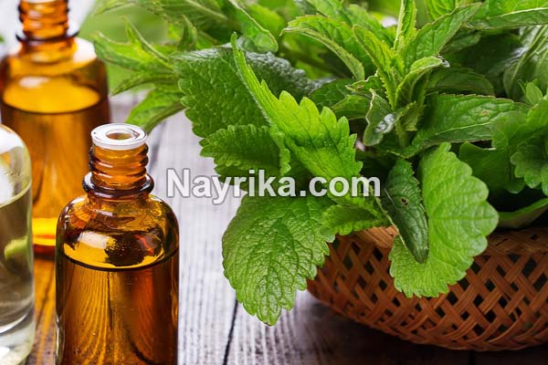 روغن نعناع, خواص روغن نعناع, مضرات روغن نعناع, خواص روغن نعناع برای لب, روغن نعناع حجم دهنده لب, فواید روغن نعناع برای مو, طرز تهیه روغن نعناع, خواص روغن نعناع فلفلی, تهیه روغن نعناع خانگی روغن نعناع, خواص روغن نعناع, مضرات روغن نعناع, خواص روغن نعناع برای لب, روغن نعناع حجم دهنده لب, فواید روغن نعناع برای مو, طرز تهیه روغن نعناع, خواص روغن نعناع فلفلی, تهیه روغن نعناع خانگی