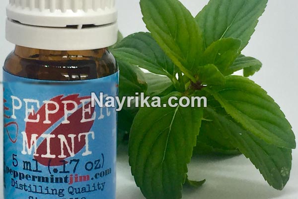 روغن نعناع, خواص روغن نعناع, مضرات روغن نعناع, خواص روغن نعناع برای لب, روغن نعناع حجم دهنده لب, فواید روغن نعناع برای مو, طرز تهیه روغن نعناع, خواص روغن نعناع فلفلی, تهیه روغن نعناع خانگی روغن نعناع, خواص روغن نعناع, مضرات روغن نعناع, خواص روغن نعناع برای لب, روغن نعناع حجم دهنده لب, فواید روغن نعناع برای مو, طرز تهیه روغن نعناع, خواص روغن نعناع فلفلی, تهیه روغن نعناع خانگی