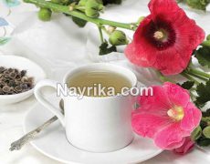 دمنوش گل ختمی: خواص و مضرات / گل ختمی و آویشن / دمنوش گل ختمی در بارداری دمنوش گل ختمی: خواص و مضرات / گل ختمی و آویشن / دمنوش گل ختمی در بارداری