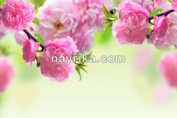 روز زن 99 , تاریخ روز زن سال 99 , روز زن در سال 1399 , روز زن 1399 , تاریخ روز زن سال 1399 , روز زن در سال 99, روز زن ۹۹ , تاریخ روز زن سال ۹۹ , روز زن در سال ۱۳۹۹ , روز زن ۱۳۹۹ , تاریخ روز زن سال ۱۳۹۹ , روز زن در سال ۹۹