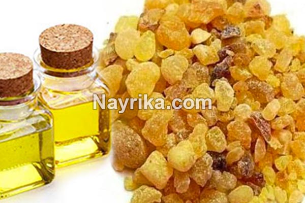 روغن سقز, روغن سقز چیست, خواص روغن سقز, مضرات روغن سقز, طرز تهیه روغن سقز, خواص روغن سقز برای پوست صورت, روغن سقز برای کمردرد, روغن سقز برای مو, روغن سقز برای واریس, طریقه مصرف روغن سقز, طرز تهیه روغن سقز در خانه روغن سقز, روغن سقز چیست, خواص روغن سقز, مضرات روغن سقز, طرز تهیه روغن سقز, خواص روغن سقز برای پوست صورت, روغن سقز برای کمردرد, روغن سقز برای مو, روغن سقز برای واریس, طریقه مصرف روغن سقز, طرز تهیه روغن سقز در خانه