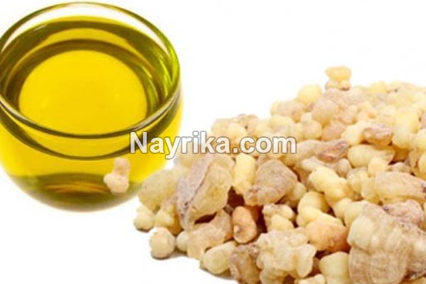 روغن سقز, روغن سقز چیست, خواص روغن سقز, مضرات روغن سقز, طرز تهیه روغن سقز, خواص روغن سقز برای پوست صورت, روغن سقز برای کمردرد, روغن سقز برای مو, روغن سقز برای واریس, طریقه مصرف روغن سقز, طرز تهیه روغن سقز در خانه روغن سقز, روغن سقز چیست, خواص روغن سقز, مضرات روغن سقز, طرز تهیه روغن سقز, خواص روغن سقز برای پوست صورت, روغن سقز برای کمردرد, روغن سقز برای مو, روغن سقز برای واریس, طریقه مصرف روغن سقز, طرز تهیه روغن سقز در خانه