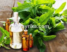 روغن نعناع: خواص و مضرات / خواص روغن نعناع برای لب، حجم دهنده لب و برای مو (روغن نعنا) روغن نعناع: خواص و مضرات / خواص روغن نعناع برای لب، حجم دهنده لب و برای مو (روغن نعنا)