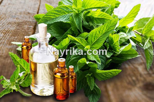 روغن نعناع, خواص روغن نعناع, مضرات روغن نعناع, خواص روغن نعناع برای لب, روغن نعناع حجم دهنده لب, فواید روغن نعناع برای مو, طرز تهیه روغن نعناع, خواص روغن نعناع فلفلی, تهیه روغن نعناع خانگی روغن نعناع, خواص روغن نعناع, مضرات روغن نعناع, خواص روغن نعناع برای لب, روغن نعناع حجم دهنده لب, فواید روغن نعناع برای مو, طرز تهیه روغن نعناع, خواص روغن نعناع فلفلی, تهیه روغن نعناع خانگی