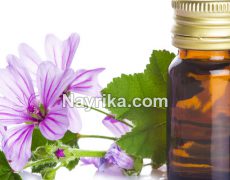 روغن گل ختمی: خواص و مضرات و طبع / خواص روغن گل ختمی برای پوست و مو روغن گل ختمی: خواص و مضرات و طبع / خواص روغن گل ختمی برای پوست و مو
