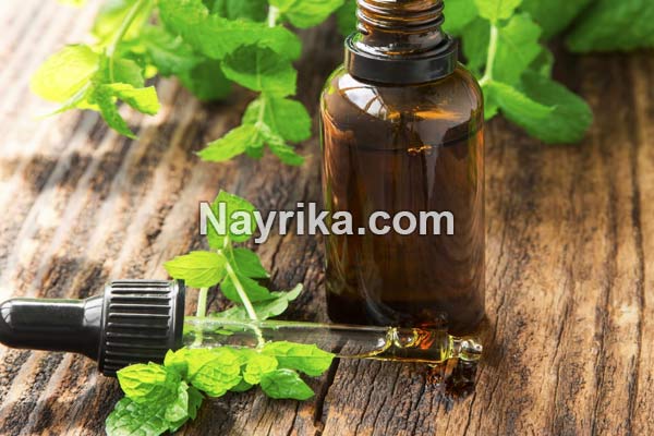 روغن نعناع, خواص روغن نعناع, مضرات روغن نعناع, خواص روغن نعناع برای لب, روغن نعناع حجم دهنده لب, فواید روغن نعناع برای مو, طرز تهیه روغن نعناع, خواص روغن نعناع فلفلی, تهیه روغن نعناع خانگی روغن نعناع, خواص روغن نعناع, مضرات روغن نعناع, خواص روغن نعناع برای لب, روغن نعناع حجم دهنده لب, فواید روغن نعناع برای مو, طرز تهیه روغن نعناع, خواص روغن نعناع فلفلی, تهیه روغن نعناع خانگی