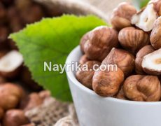 فندق: خواص، مضرات، طبع / فندق در بدنسازی، بارداری، دیابت، کم خونی فندق: خواص، مضرات، طبع / فندق در بدنسازی، بارداری، دیابت، کم خونی