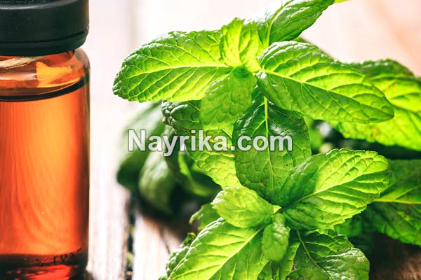 روغن نعناع, خواص روغن نعناع, مضرات روغن نعناع, خواص روغن نعناع برای لب, روغن نعناع حجم دهنده لب, فواید روغن نعناع برای مو, طرز تهیه روغن نعناع, خواص روغن نعناع فلفلی, تهیه روغن نعناع خانگی روغن نعناع, خواص روغن نعناع, مضرات روغن نعناع, خواص روغن نعناع برای لب, روغن نعناع حجم دهنده لب, فواید روغن نعناع برای مو, طرز تهیه روغن نعناع, خواص روغن نعناع فلفلی, تهیه روغن نعناع خانگی
